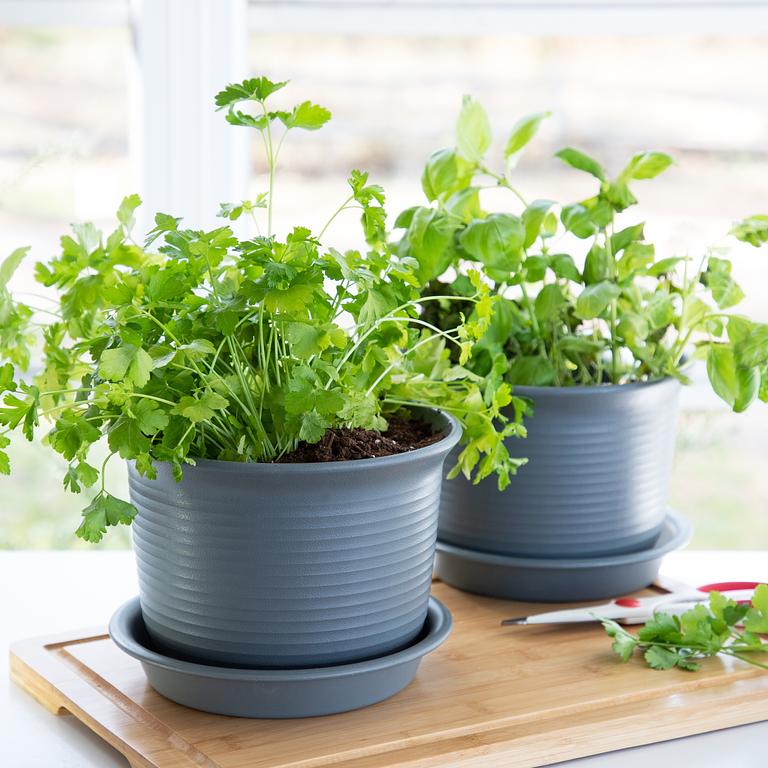 SET of 2: Large Round Plant Pot